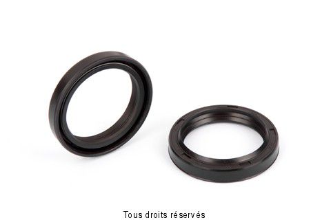 Spy de fourche 43x55x9/10.5