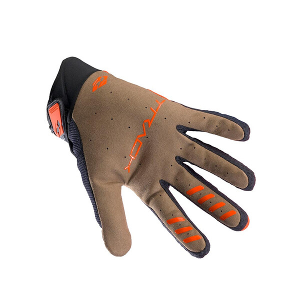 Gants Track