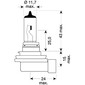 Ampoule H11 OP64211-01B