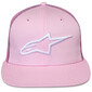 Casquette Corp Trucker