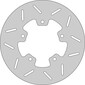 Disque de frein FE.G435