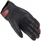 Gants Arizona Lady