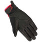 Gants Nassau