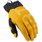 Gants Coast