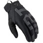 Gants Coast