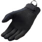 Gants Coast