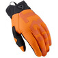 Gants Coast