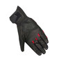 Gants Pitts