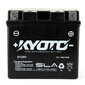 Batterie GTZ6V SLA AGM